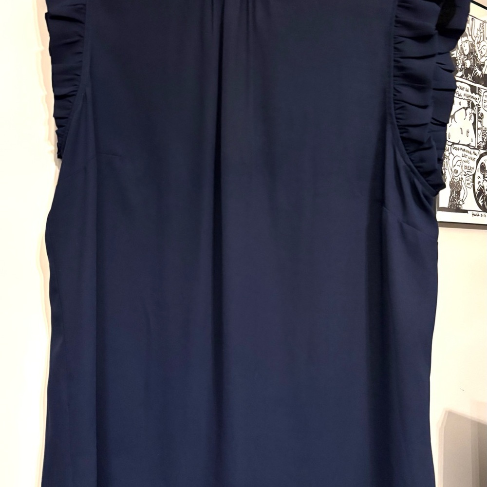 Daniel Rainn Navy Sleeveless Ruffle top